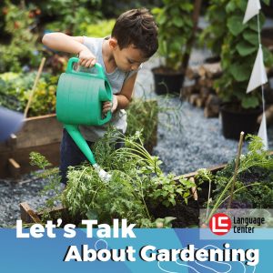 lets-talk-about-gardening