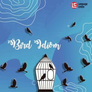 bird idiom
