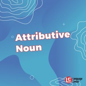 attributive-noun
