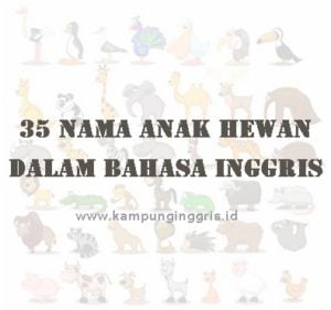 Daftar Nama Anak Binatang dalam Bahasa Inggris