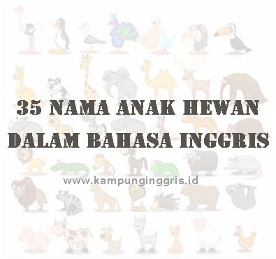 Kosakata Daftar  Nama Anak Binatang  dalam  Bahasa  Inggris 