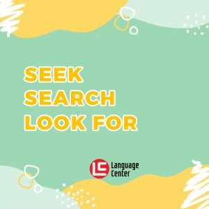 seek-search-look-for